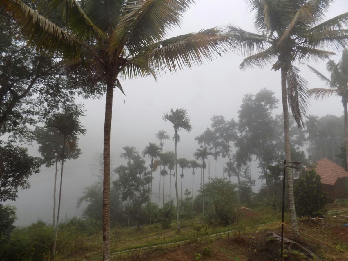 Misty Mornings Resort Ambalavayal Buitenkant foto