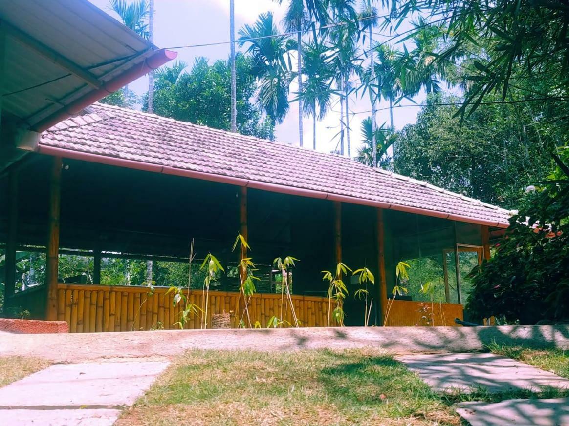 Misty Mornings Resort Ambalavayal Buitenkant foto
