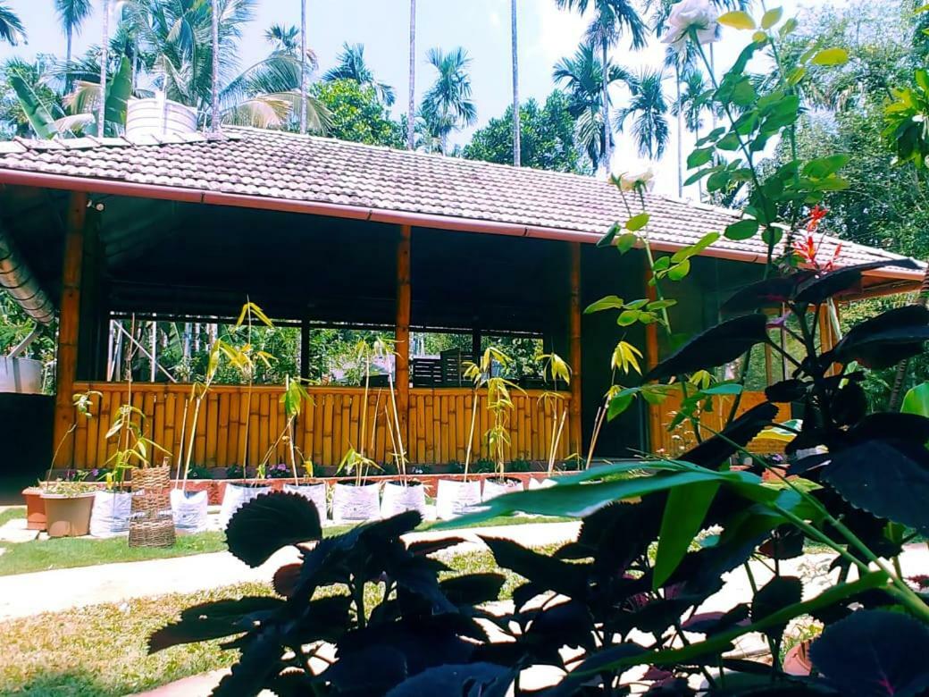 Misty Mornings Resort Ambalavayal Buitenkant foto