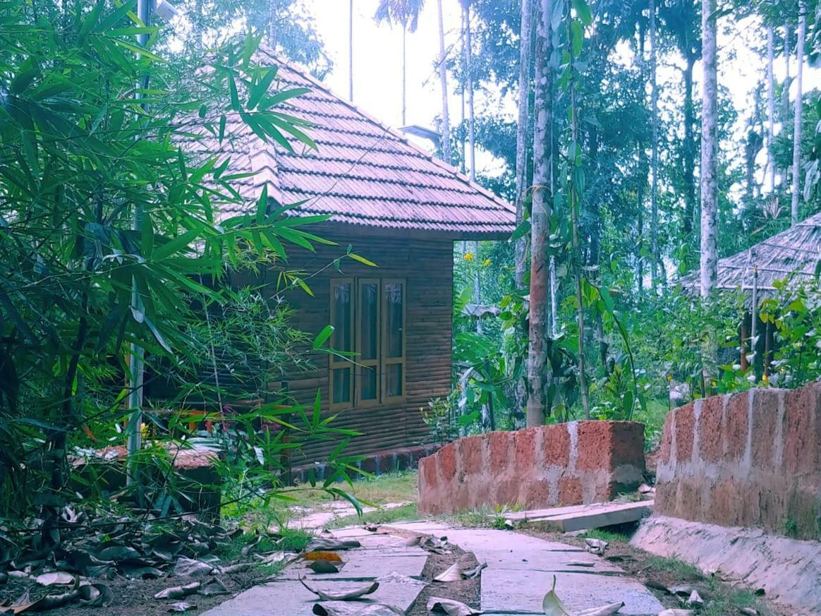 Misty Mornings Resort Ambalavayal Buitenkant foto