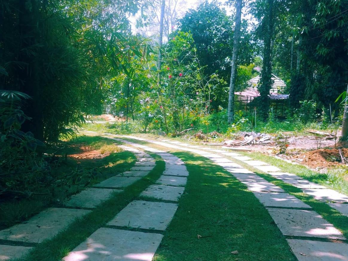 Misty Mornings Resort Ambalavayal Buitenkant foto