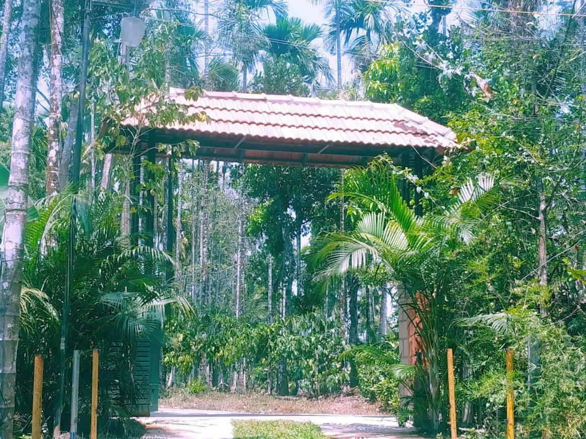 Misty Mornings Resort Ambalavayal Buitenkant foto