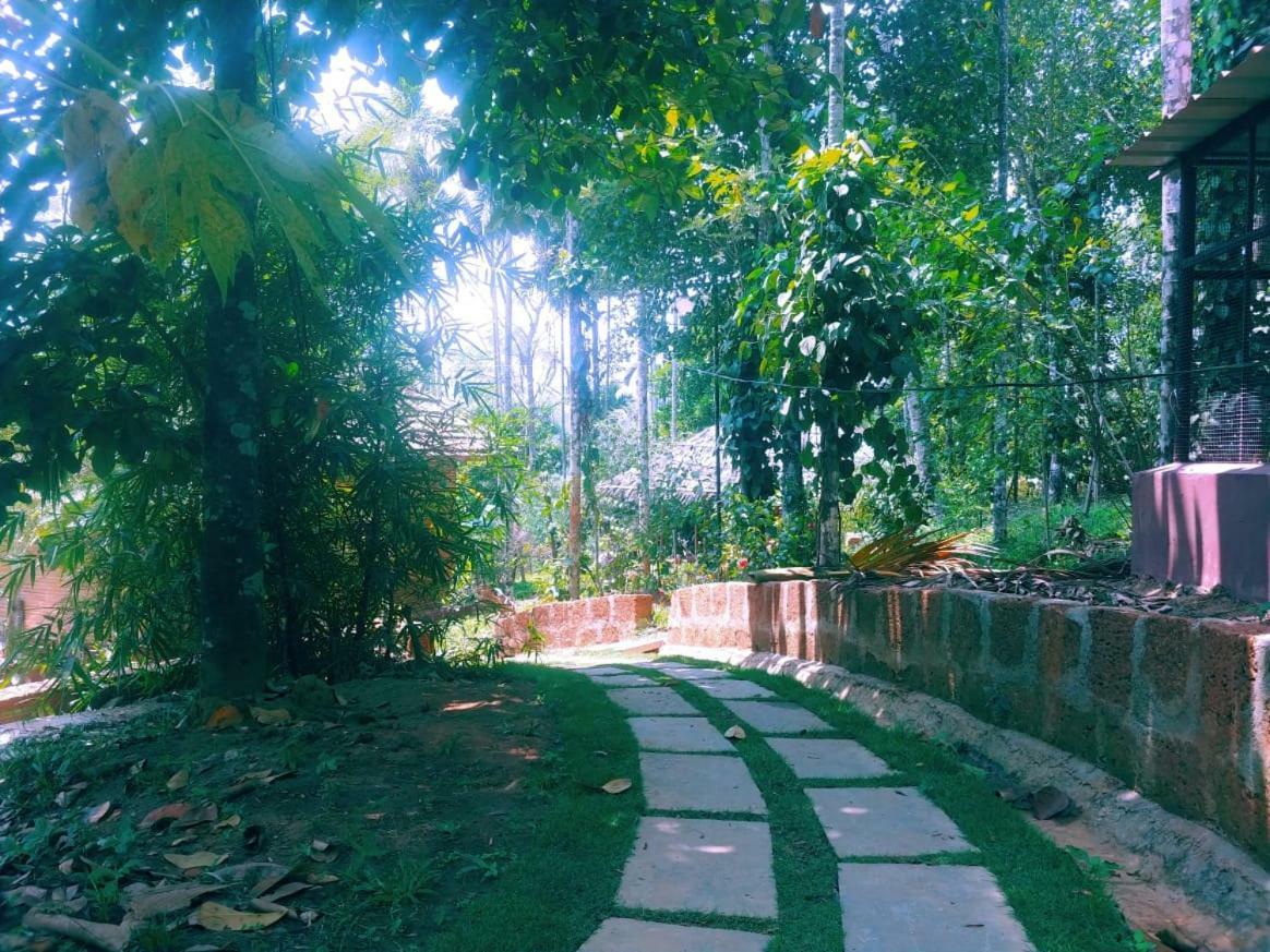 Misty Mornings Resort Ambalavayal Buitenkant foto