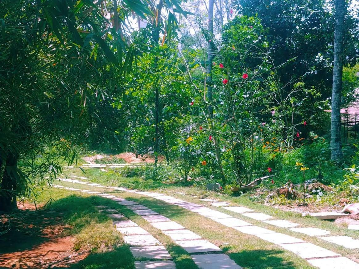 Misty Mornings Resort Ambalavayal Buitenkant foto